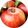 APPLE APPLE
